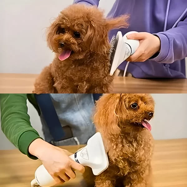 Secador 2 em 1 Elétrico Removedor de Pelos Para Pets - Image 3