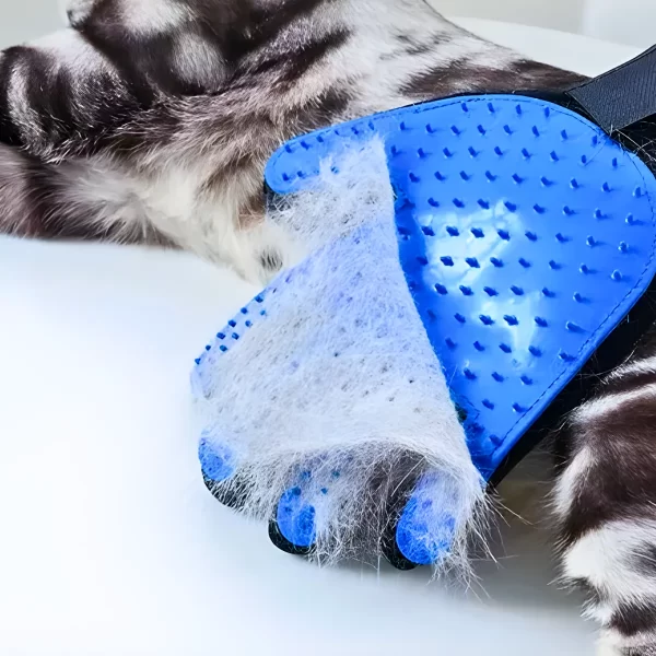 Luva Escova Removedora de Pelos Para Cães Gatos e Pets - Image 3