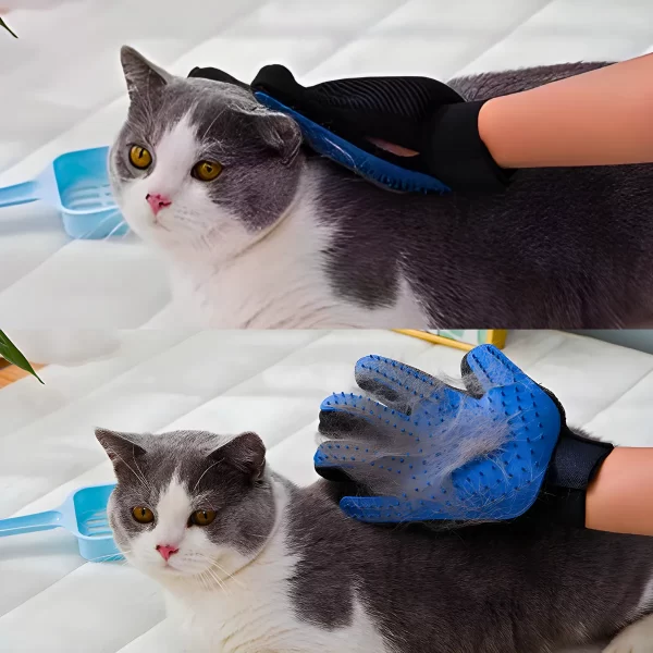 Luva Escova Removedora de Pelos Para Cães Gatos e Pets - Image 5