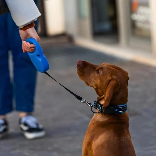 Coleira retrátil para cachorro - Image 2